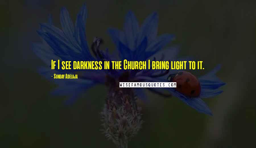 Sunday Adelaja Quotes: If I see darkness in the Church I bring light to it.