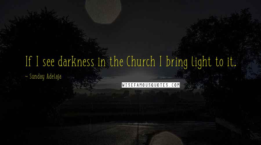 Sunday Adelaja Quotes: If I see darkness in the Church I bring light to it.