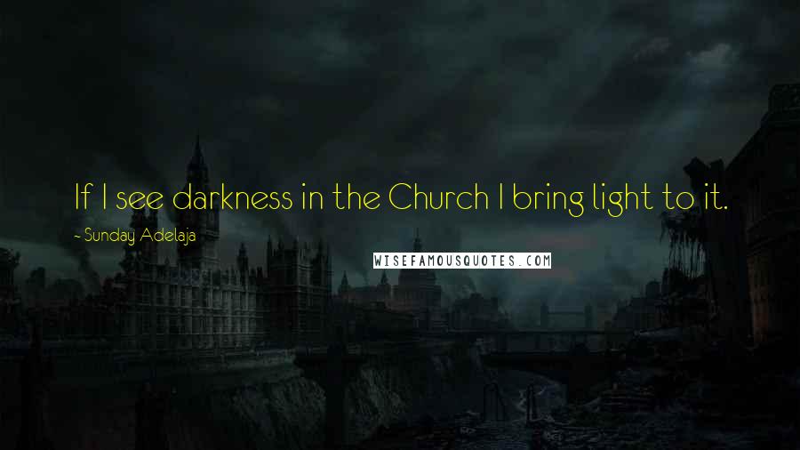 Sunday Adelaja Quotes: If I see darkness in the Church I bring light to it.