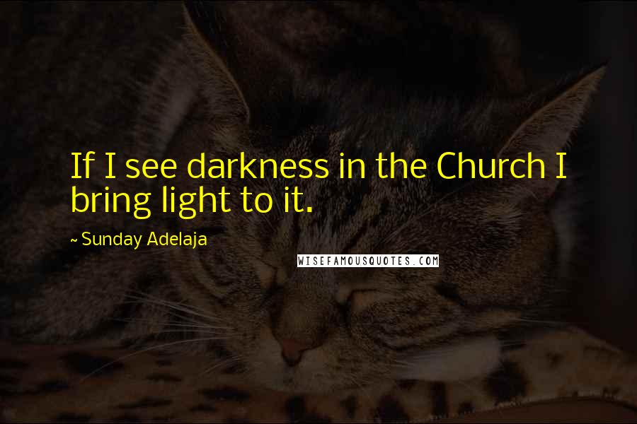 Sunday Adelaja Quotes: If I see darkness in the Church I bring light to it.