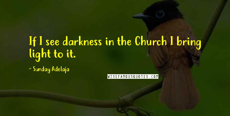 Sunday Adelaja Quotes: If I see darkness in the Church I bring light to it.