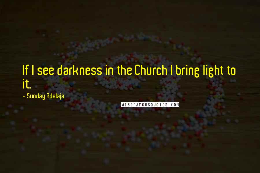 Sunday Adelaja Quotes: If I see darkness in the Church I bring light to it.