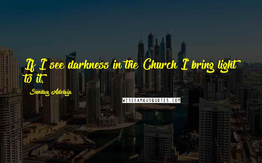 Sunday Adelaja Quotes: If I see darkness in the Church I bring light to it.