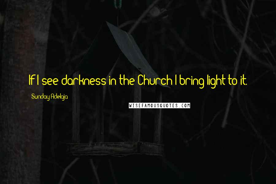 Sunday Adelaja Quotes: If I see darkness in the Church I bring light to it.