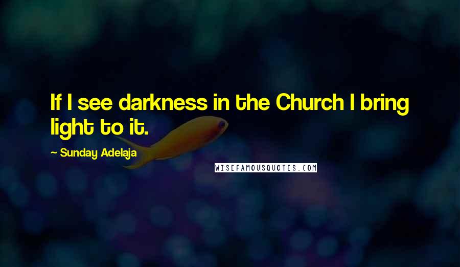 Sunday Adelaja Quotes: If I see darkness in the Church I bring light to it.