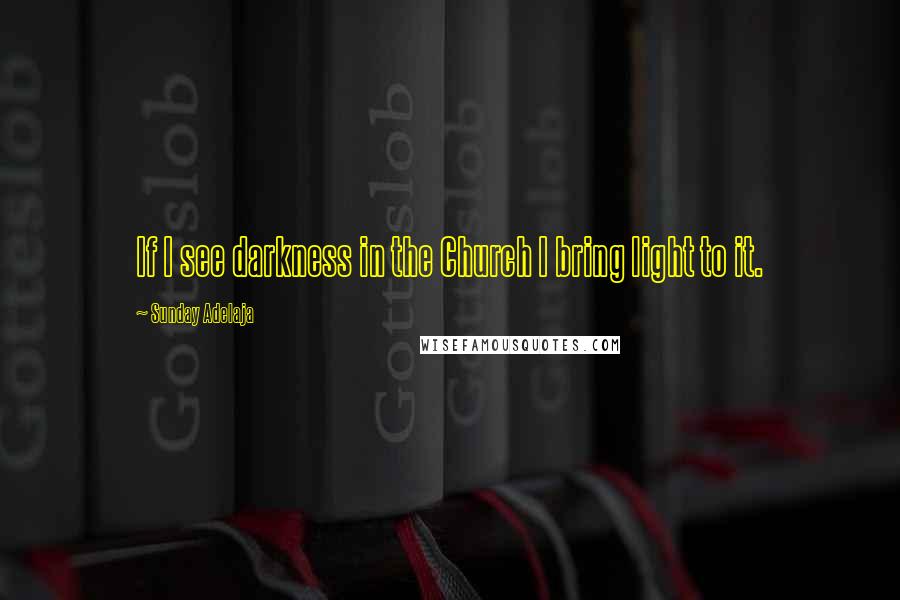 Sunday Adelaja Quotes: If I see darkness in the Church I bring light to it.