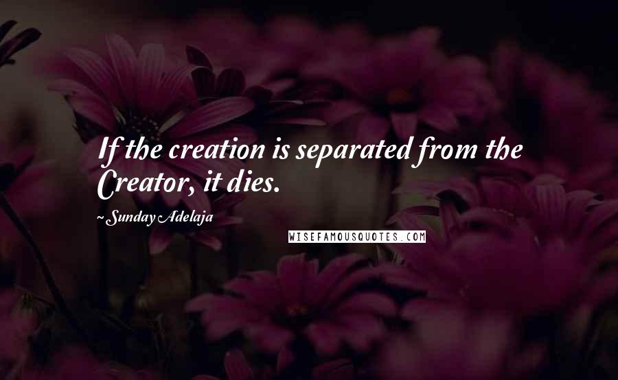 Sunday Adelaja Quotes: If the creation is separated from the Creator, it dies.