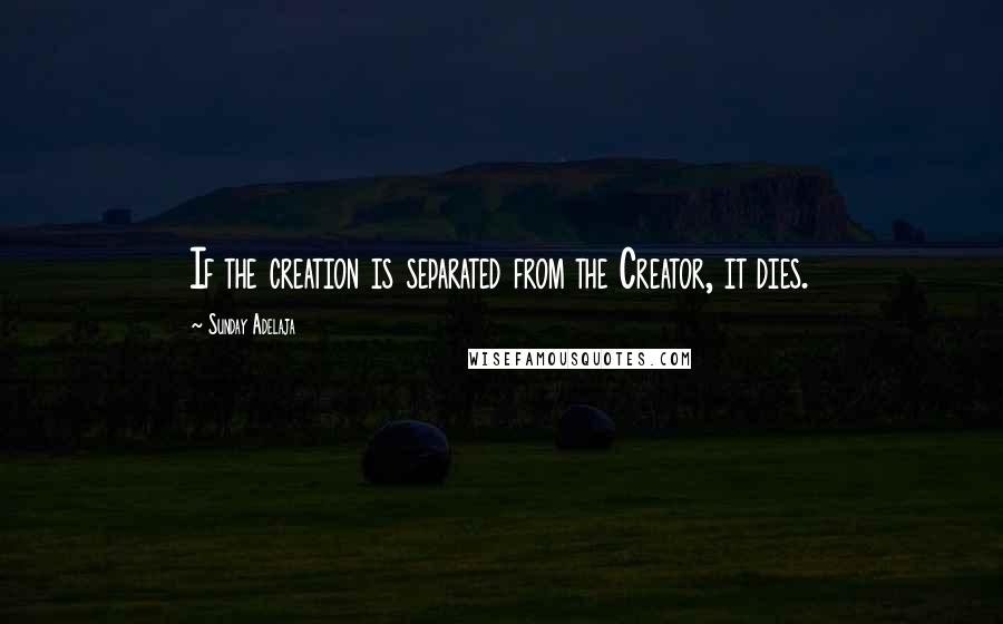 Sunday Adelaja Quotes: If the creation is separated from the Creator, it dies.