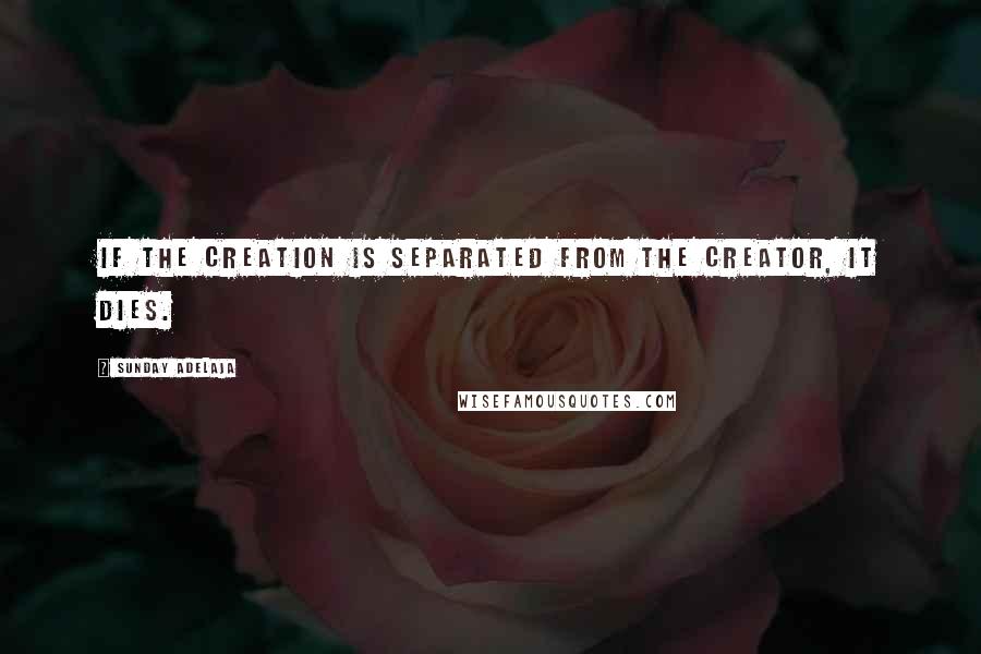 Sunday Adelaja Quotes: If the creation is separated from the Creator, it dies.