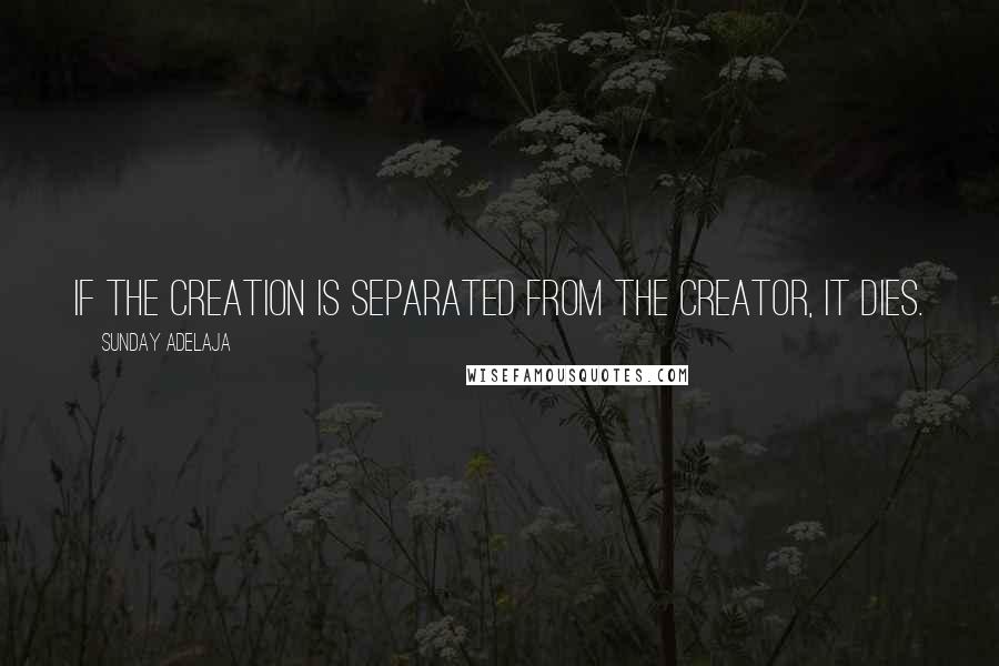 Sunday Adelaja Quotes: If the creation is separated from the Creator, it dies.