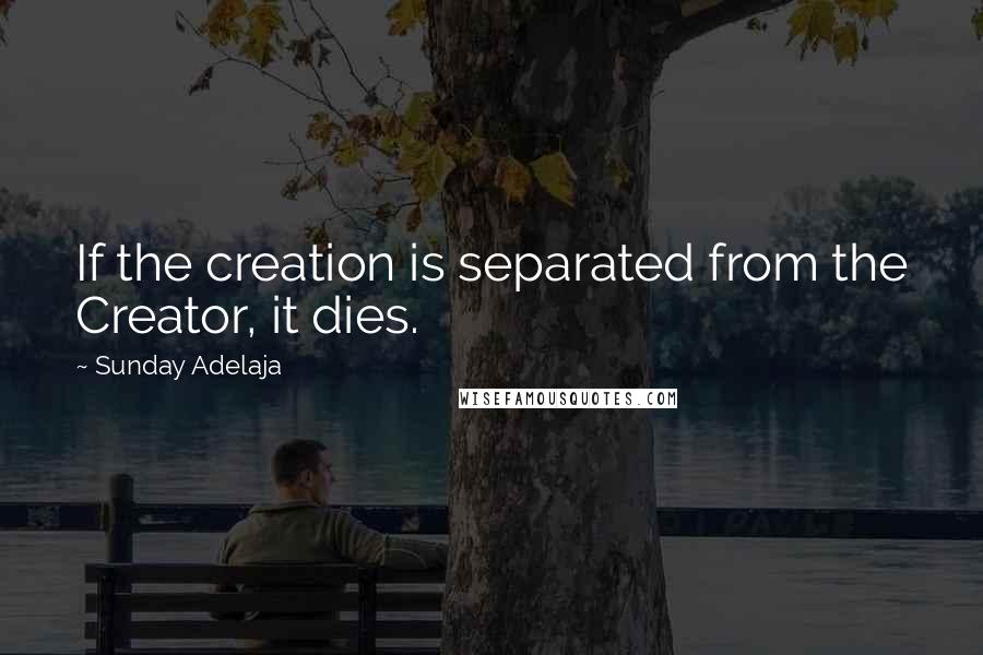 Sunday Adelaja Quotes: If the creation is separated from the Creator, it dies.