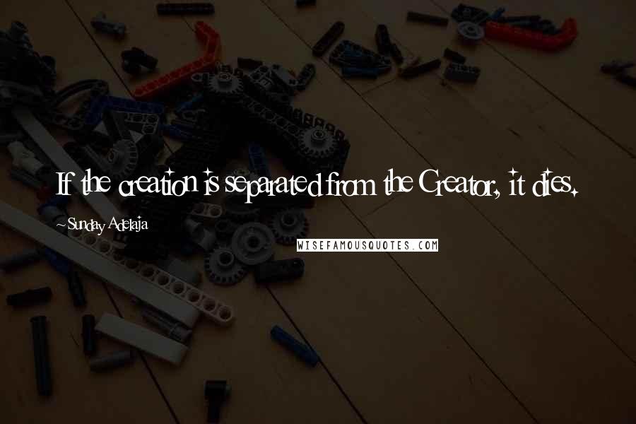 Sunday Adelaja Quotes: If the creation is separated from the Creator, it dies.