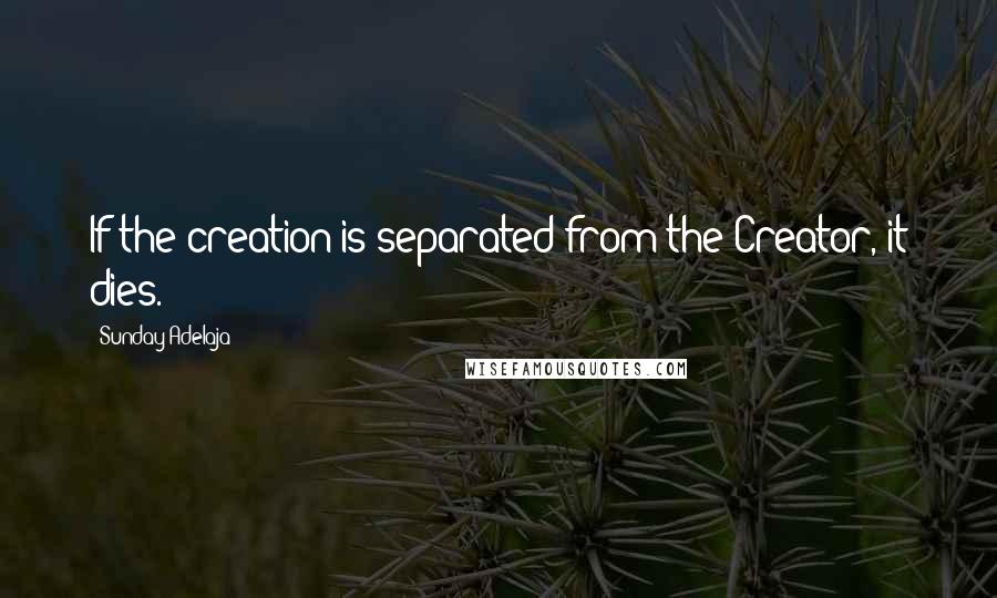 Sunday Adelaja Quotes: If the creation is separated from the Creator, it dies.