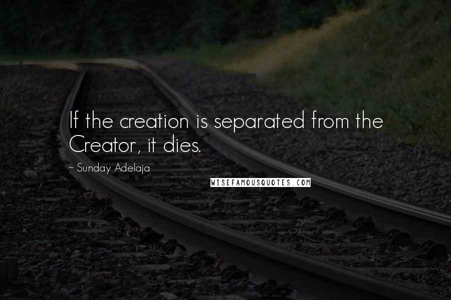 Sunday Adelaja Quotes: If the creation is separated from the Creator, it dies.