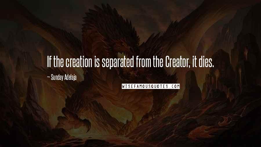 Sunday Adelaja Quotes: If the creation is separated from the Creator, it dies.