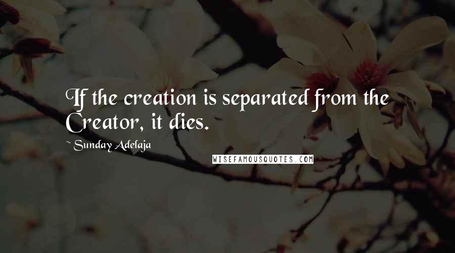 Sunday Adelaja Quotes: If the creation is separated from the Creator, it dies.