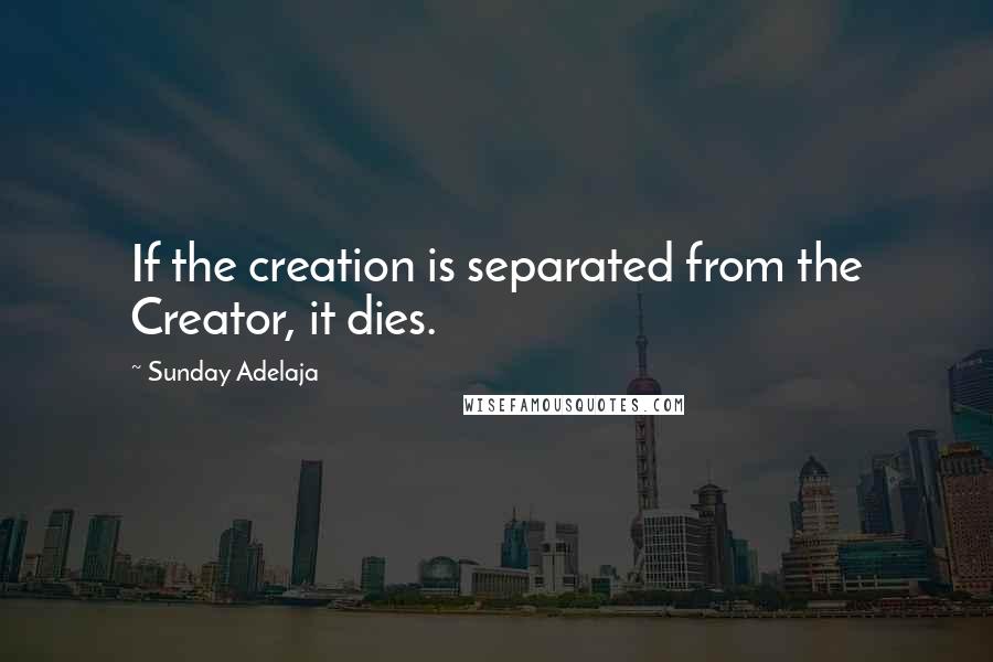 Sunday Adelaja Quotes: If the creation is separated from the Creator, it dies.