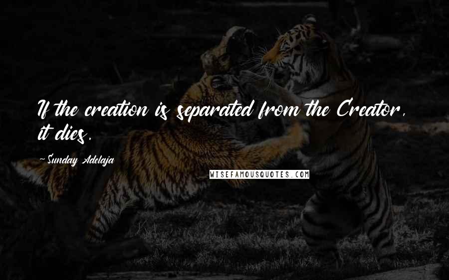 Sunday Adelaja Quotes: If the creation is separated from the Creator, it dies.