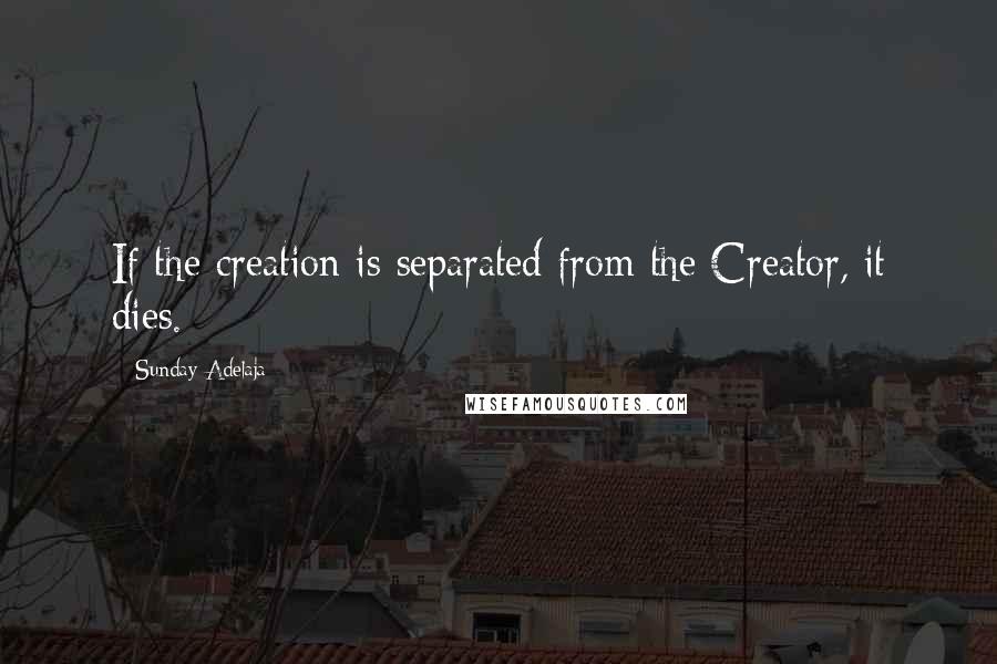 Sunday Adelaja Quotes: If the creation is separated from the Creator, it dies.