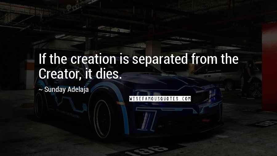 Sunday Adelaja Quotes: If the creation is separated from the Creator, it dies.