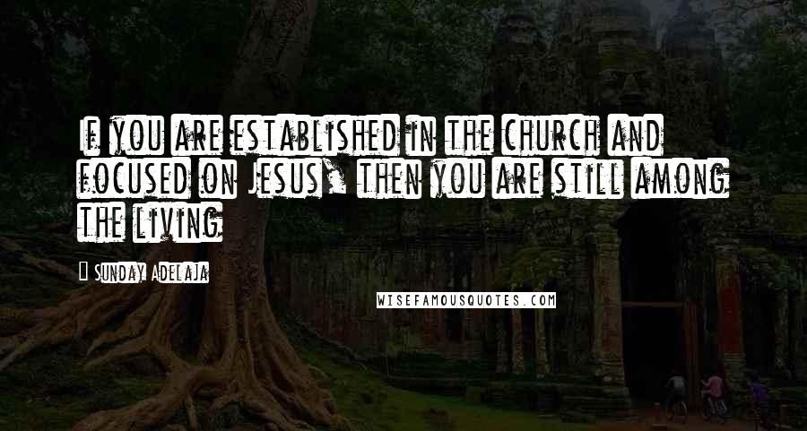 Sunday Adelaja Quotes: If you are established in the church and focused on Jesus, then you are still among the living