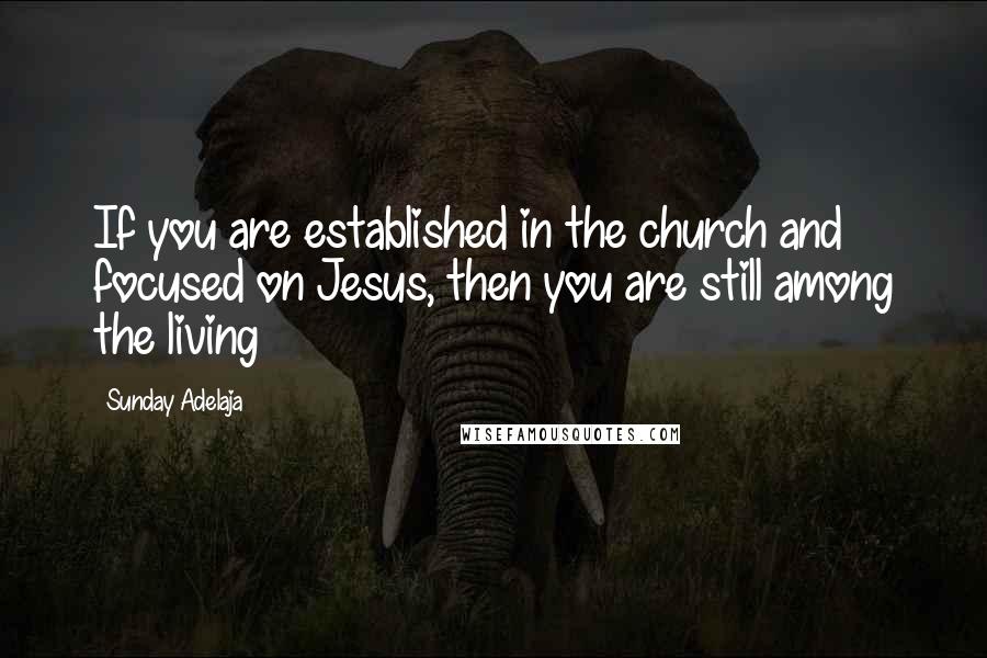 Sunday Adelaja Quotes: If you are established in the church and focused on Jesus, then you are still among the living