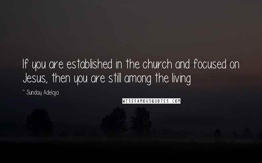 Sunday Adelaja Quotes: If you are established in the church and focused on Jesus, then you are still among the living