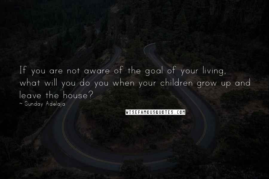 Sunday Adelaja Quotes: If you are not aware of the goal of your living, what will you do you when your children grow up and leave the house?