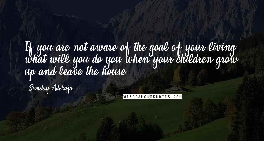 Sunday Adelaja Quotes: If you are not aware of the goal of your living, what will you do you when your children grow up and leave the house?