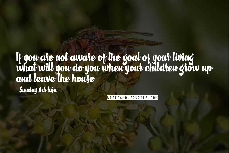 Sunday Adelaja Quotes: If you are not aware of the goal of your living, what will you do you when your children grow up and leave the house?