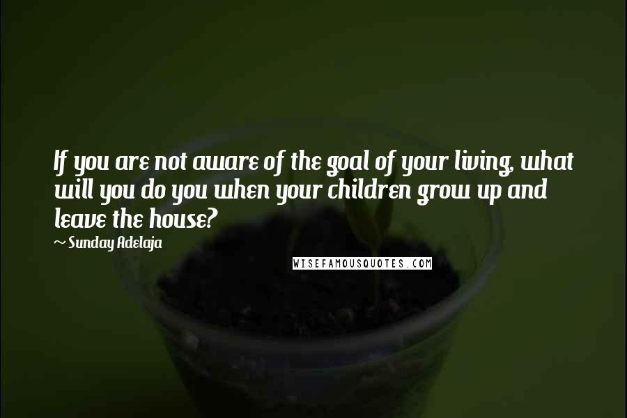 Sunday Adelaja Quotes: If you are not aware of the goal of your living, what will you do you when your children grow up and leave the house?