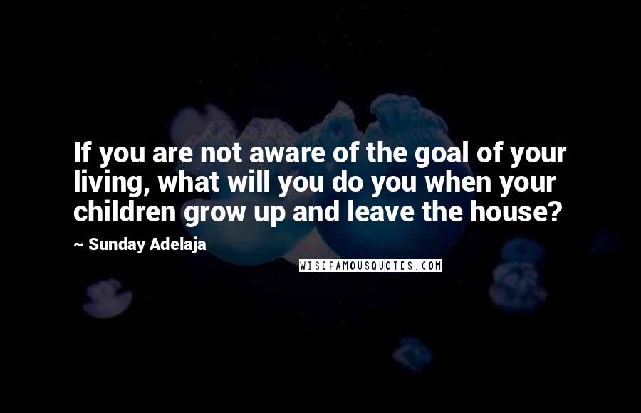 Sunday Adelaja Quotes: If you are not aware of the goal of your living, what will you do you when your children grow up and leave the house?