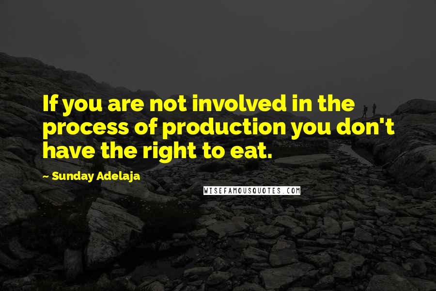 Sunday Adelaja Quotes: If you are not involved in the process of production you don't have the right to eat.