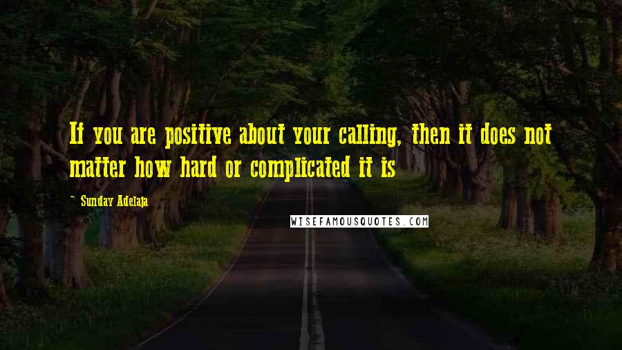 Sunday Adelaja Quotes: If you are positive about your calling, then it does not matter how hard or complicated it is