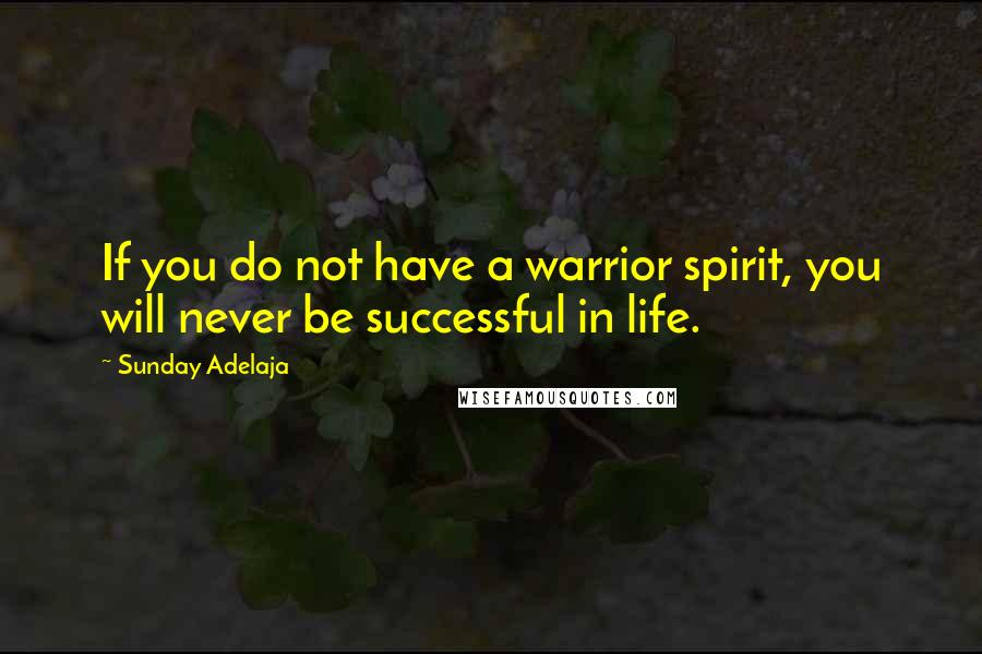 Sunday Adelaja Quotes: If you do not have a warrior spirit, you will never be successful in life.