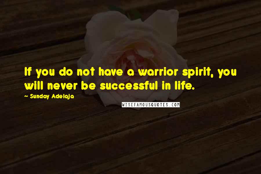 Sunday Adelaja Quotes: If you do not have a warrior spirit, you will never be successful in life.