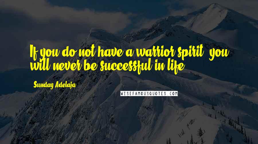 Sunday Adelaja Quotes: If you do not have a warrior spirit, you will never be successful in life.