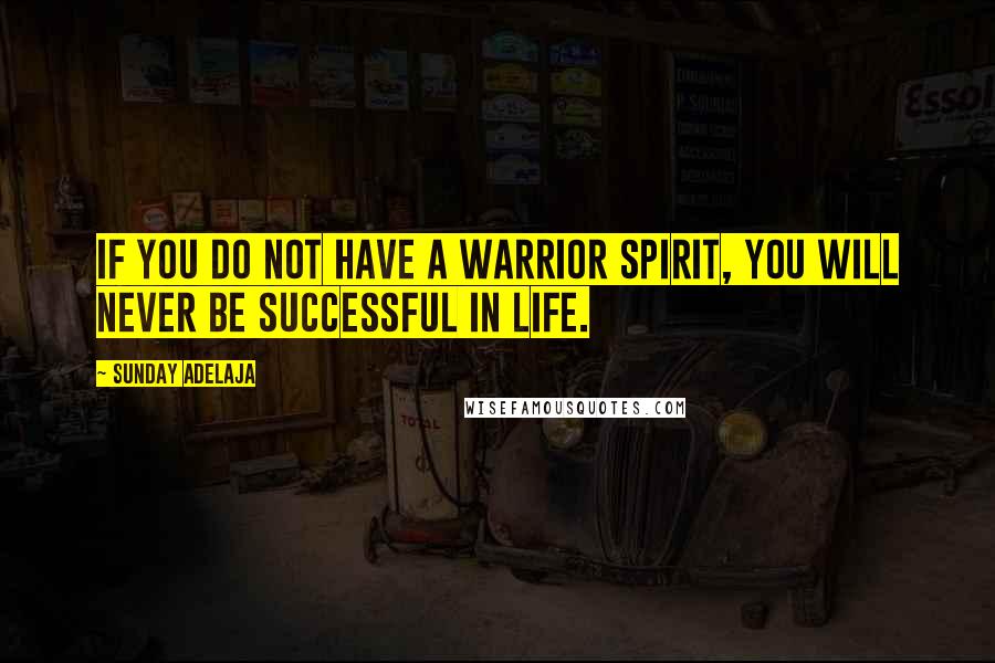 Sunday Adelaja Quotes: If you do not have a warrior spirit, you will never be successful in life.