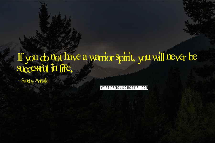 Sunday Adelaja Quotes: If you do not have a warrior spirit, you will never be successful in life.