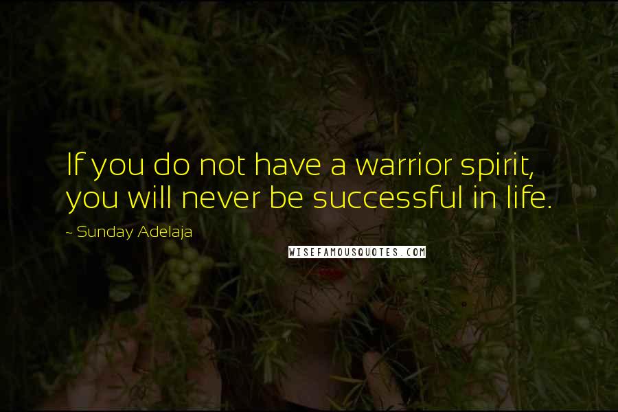 Sunday Adelaja Quotes: If you do not have a warrior spirit, you will never be successful in life.