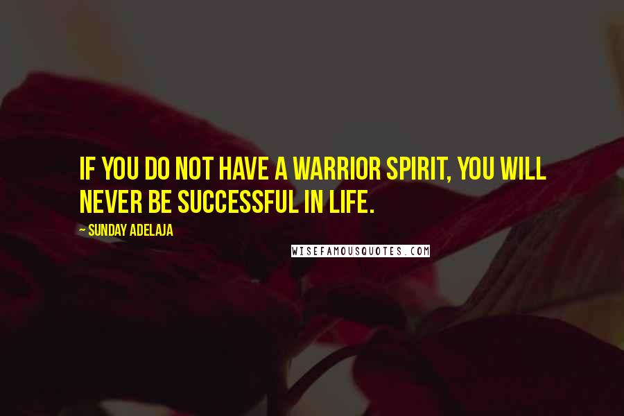 Sunday Adelaja Quotes: If you do not have a warrior spirit, you will never be successful in life.
