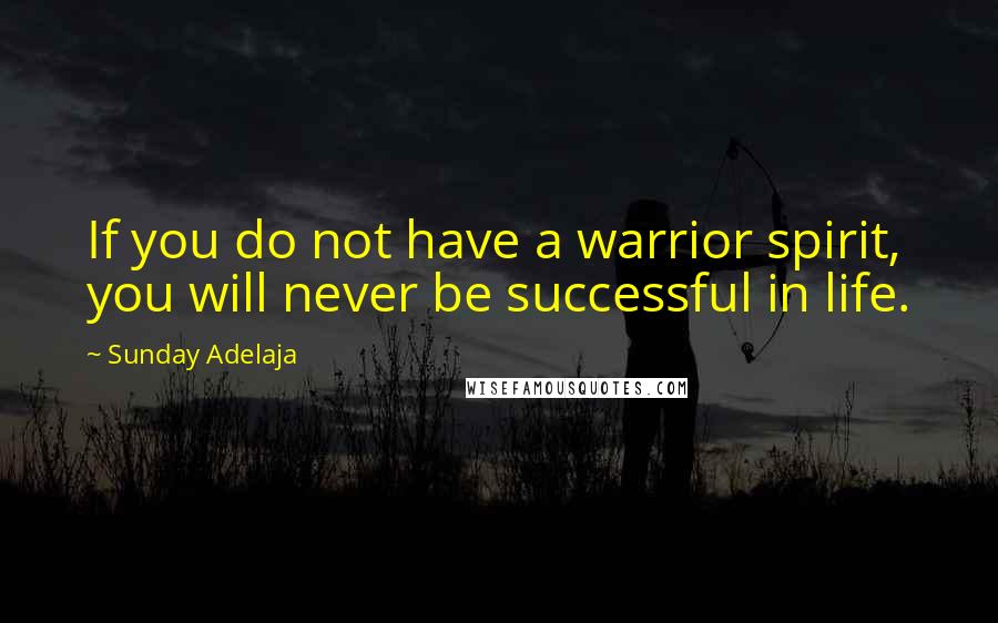 Sunday Adelaja Quotes: If you do not have a warrior spirit, you will never be successful in life.