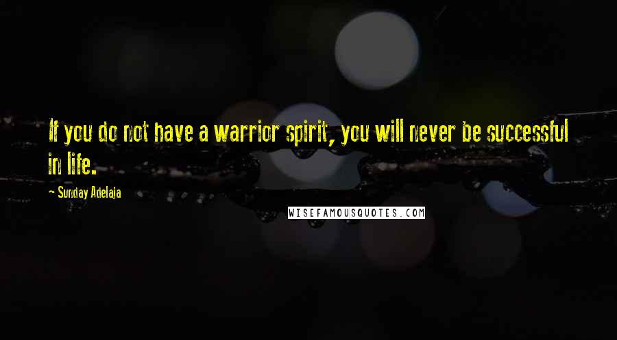 Sunday Adelaja Quotes: If you do not have a warrior spirit, you will never be successful in life.