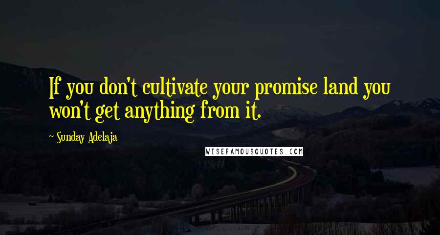 Sunday Adelaja Quotes: If you don't cultivate your promise land you won't get anything from it.