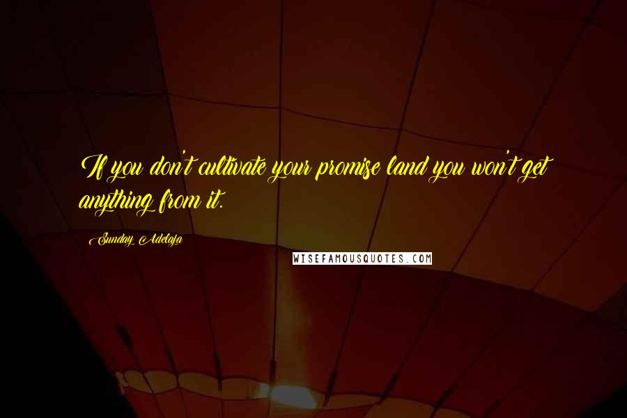 Sunday Adelaja Quotes: If you don't cultivate your promise land you won't get anything from it.
