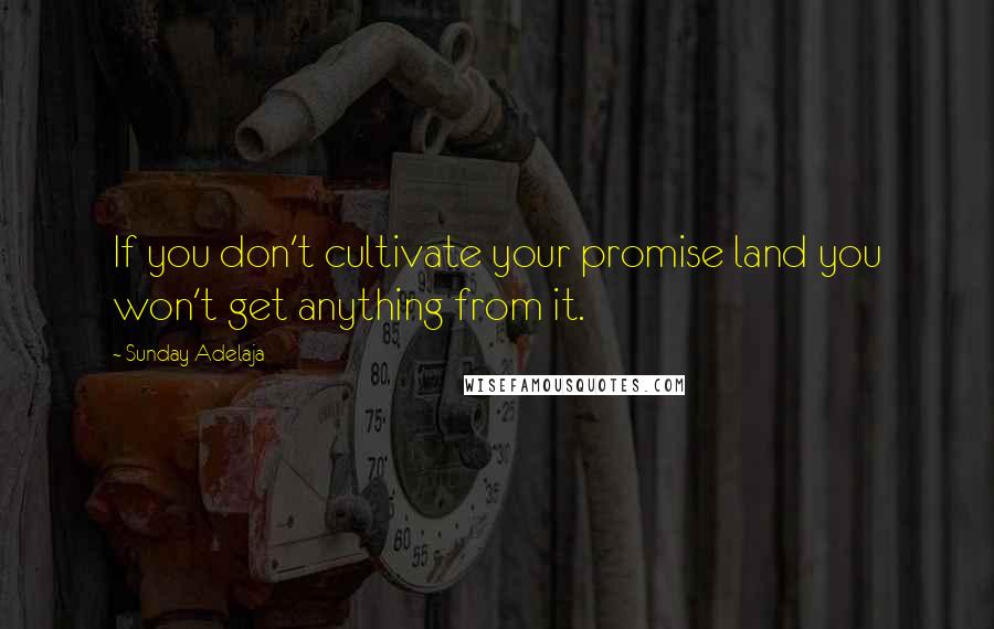 Sunday Adelaja Quotes: If you don't cultivate your promise land you won't get anything from it.
