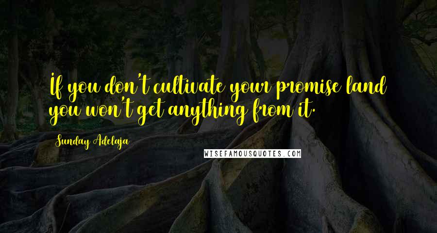 Sunday Adelaja Quotes: If you don't cultivate your promise land you won't get anything from it.