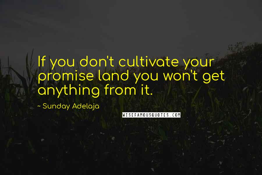 Sunday Adelaja Quotes: If you don't cultivate your promise land you won't get anything from it.