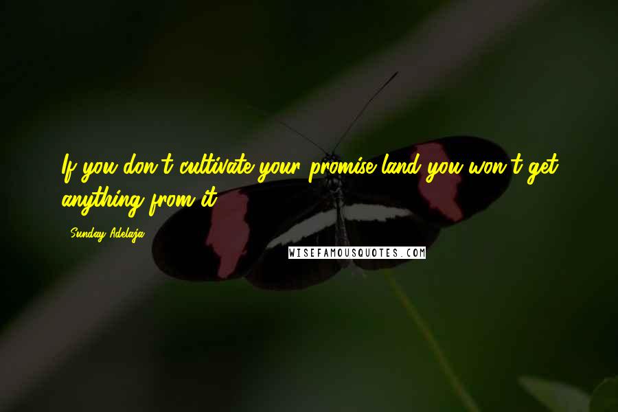 Sunday Adelaja Quotes: If you don't cultivate your promise land you won't get anything from it.