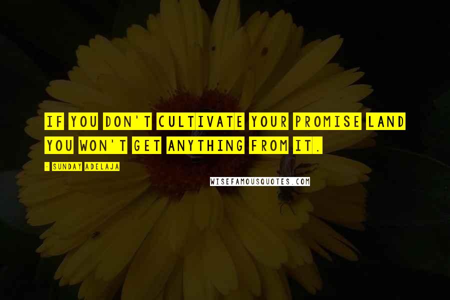 Sunday Adelaja Quotes: If you don't cultivate your promise land you won't get anything from it.
